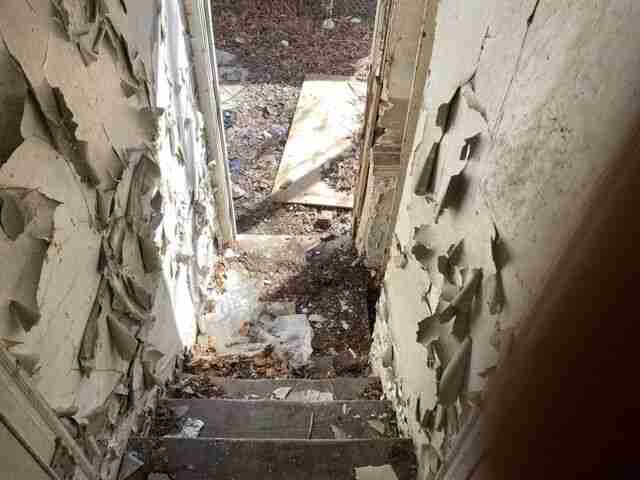 Testing again(66).jpg